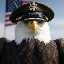 Army Eagle 250
