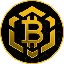 Bitcoin BSC