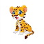Bnb Tiger Inu