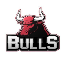 BULLS