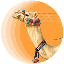 CamelToken