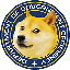 Department of Government Efficiency DOGE