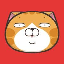 LanLan Cat