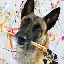 Monkey the picasso