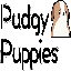 Pudgy Pups Club[new]