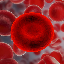 Red Blood Cell