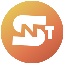 Share NFT Token