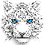 Snow Leopard