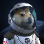 SpaceXDoge