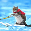 Twiggy the water skiing squirrel